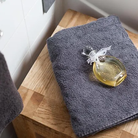 Vrijstaand Vakantie Huis Met Prive Wellness Casa de Férias *