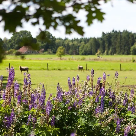 Casa de Férias Vrijstaand Vakantie Huis Met Prive Wellness
